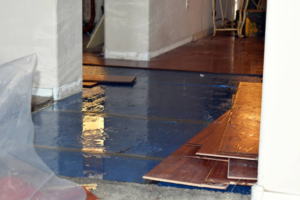 Professional Burst Pipe Cleanup technician working in Alloy, WV